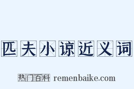 匹夫小谅近义词是什么意思的图片